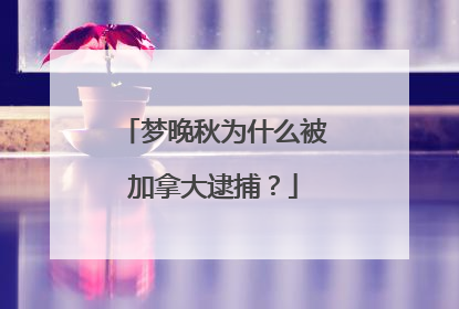 梦晚秋为什么被加拿大逮捕?