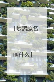 梦鸽原名叫什么