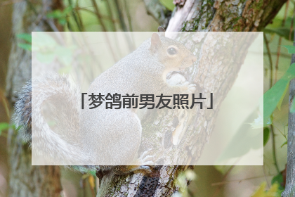 梦鸽前男友照片