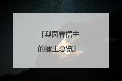 梨园春擂主的擂主总览