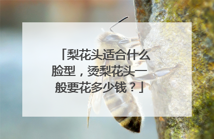 梨花头适合什么脸型,烫梨花头一般要花多少钱?