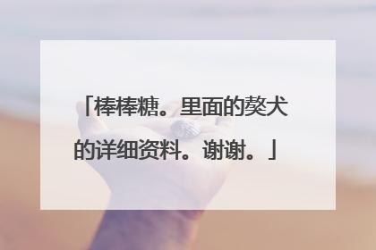 棒棒糖。里面的獒犬的详细资料。谢谢。