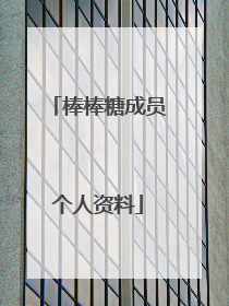 棒棒糖成员个人资料