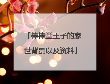 棒棒堂王子的家世背景以及资料