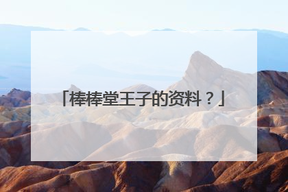 棒棒堂王子的资料?