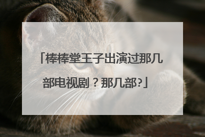 棒棒堂王子出演过那几部电视剧?那几部?