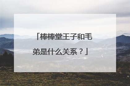 棒棒堂王子和毛弟是什么关系？