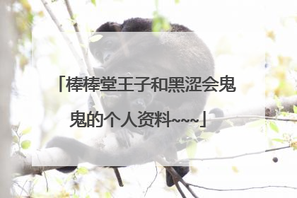 棒棒堂王子和黑涩会鬼鬼的个人资料~~~