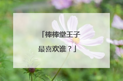棒棒堂王子最喜欢谁?
