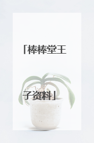 棒棒堂王子资料