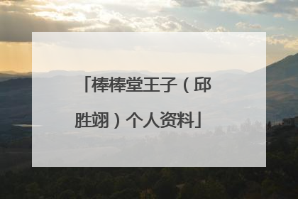 棒棒堂王子(邱胜翊)个人资料