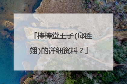 棒棒堂王子(邱胜翊)的详细资料?