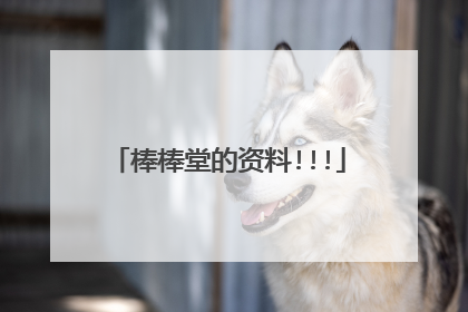 棒棒堂的资料!!!