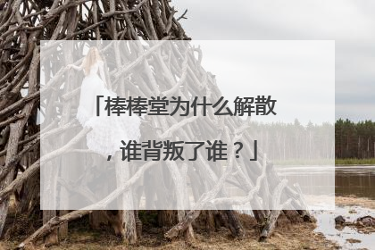 棒棒堂为什么解散，谁背叛了谁？