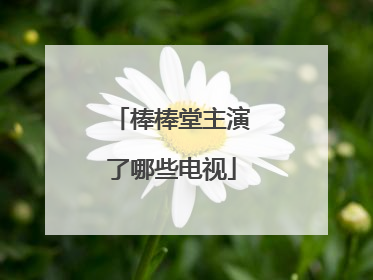 棒棒堂主演了哪些电视