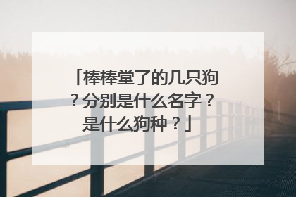 棒棒堂了的几只狗？分别是什么名字？是什么狗种？