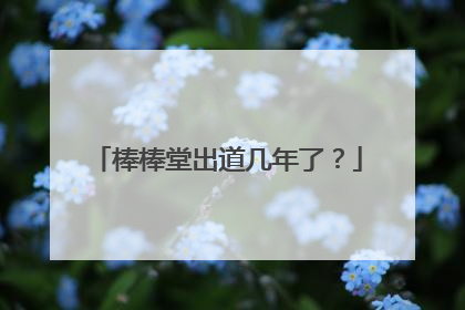 棒棒堂出道几年了？