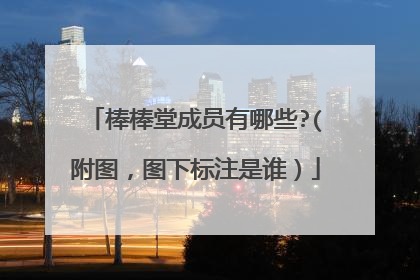 棒棒堂成员有哪些?(附图,图下标注是谁)