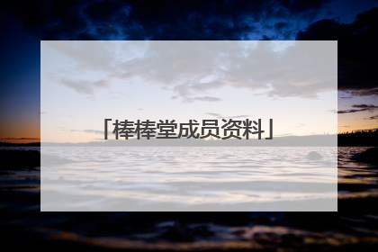 棒棒堂成员资料