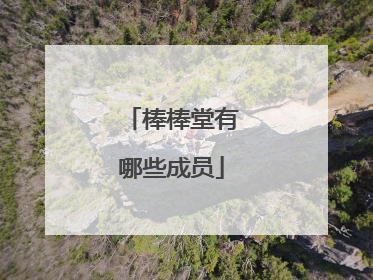 棒棒堂有哪些成员