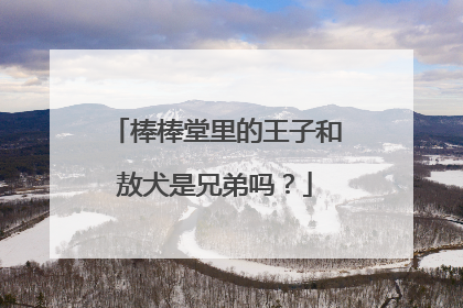 棒棒堂里的王子和敖犬是兄弟吗？