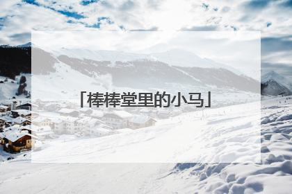 棒棒堂里的小马