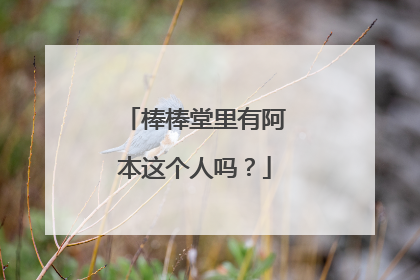 棒棒堂里有阿本这个人吗？