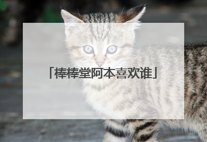 棒棒堂阿本喜欢谁