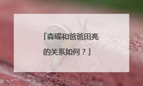 森碟和爸爸田亮的关系如何？