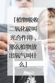 植物吸收二氧化碳叫光合作用,那么植物放出氧气叫什么