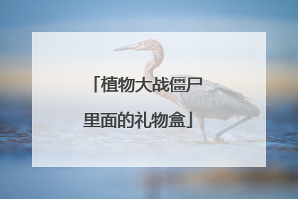 植物大战僵尸里面的礼物盒