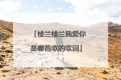 楼兰楼兰我爱你是哪首歌的歌词