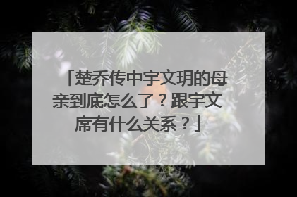 楚乔传中宇文玥的母亲到底怎么了?跟宇文席有什么关系?