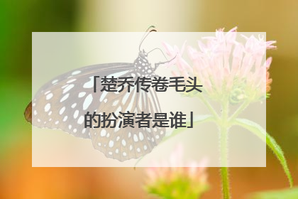 楚乔传卷毛头的扮演者是谁