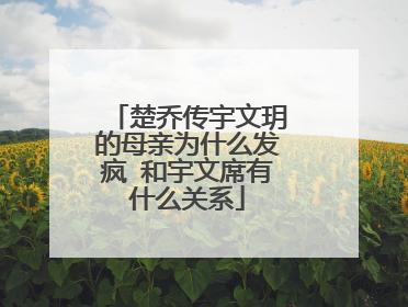 楚乔传宇文玥的母亲为什么发疯 和宇文席有什么关系