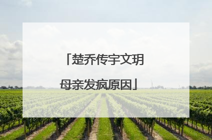 楚乔传宇文玥母亲发疯原因