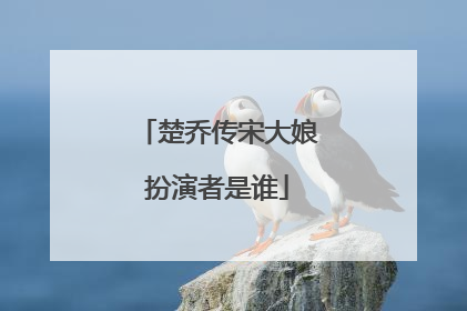 楚乔传宋大娘扮演者是谁