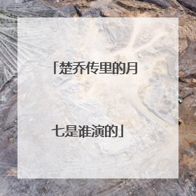 楚乔传里的月七是谁演的