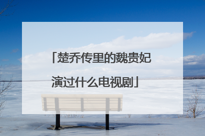 楚乔传里的魏贵妃演过什么电视剧
