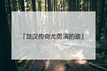 楚汉传奇尤勇演的谁