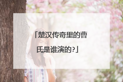 楚汉传奇里的曹氏是谁演的?