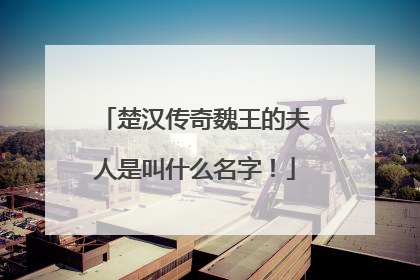 楚汉传奇魏王的夫人是叫什么名字！