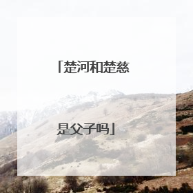 楚河和楚慈是父子吗