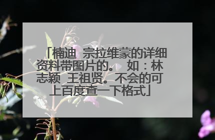 楠迪 宗拉维蒙的详细资料带图片的。 如：林志颖 王祖贤。不会的可上百度查一下格式