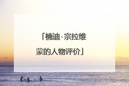 楠迪·宗拉维蒙的人物评价