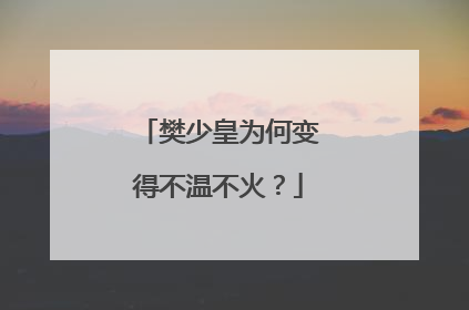 樊少皇为何变得不温不火？
