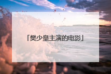 樊少皇主演的电影