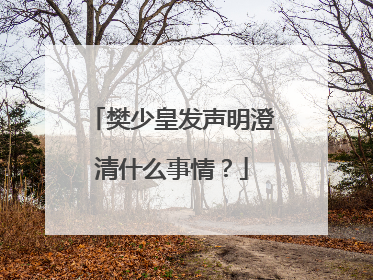 樊少皇发声明澄清什么事情？