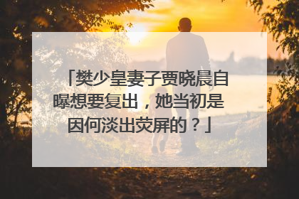 樊少皇妻子贾晓晨自曝想要复出，她当初是因何淡出荧屏的？