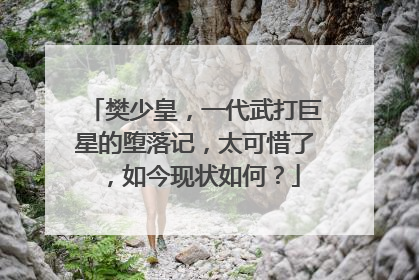 樊少皇,一代武打巨星的堕落记,太可惜了,如今现状如何?